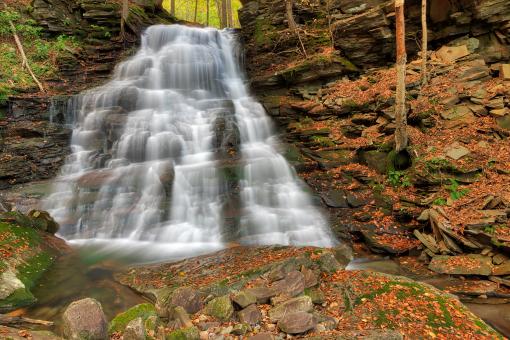 Free Stock Photo of Hounds Run Falls