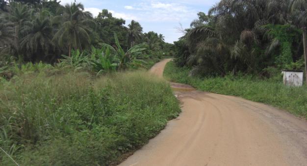 Free Stock Photo of Peaceful road of a village - Cameroon