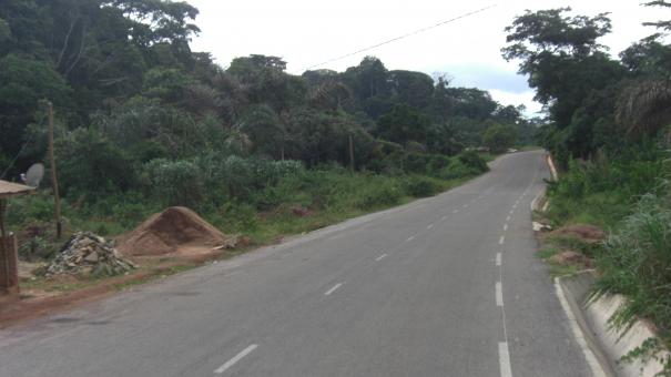 Free Stock Photo of Peaceful road of a village- Cameroon