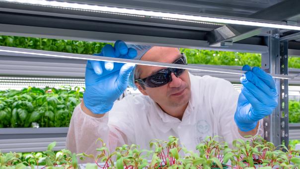 Free Stock Photo of Scientist Is Working