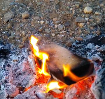 Free Stock Photo of Campfire
