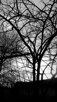 Free Stock Photo of Dark