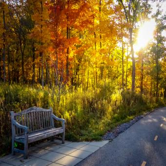 Free Stock Photo of Autumn Walk