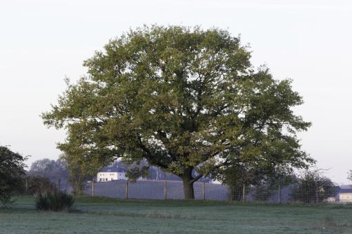 Free Stock Photo of Landscape sint Pietersberg