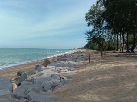 Free Stock Photo of The presence of trees makes a stony beach appear more beautiful