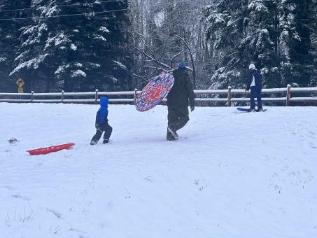 Free Stock Photo of Snowy Afternoon