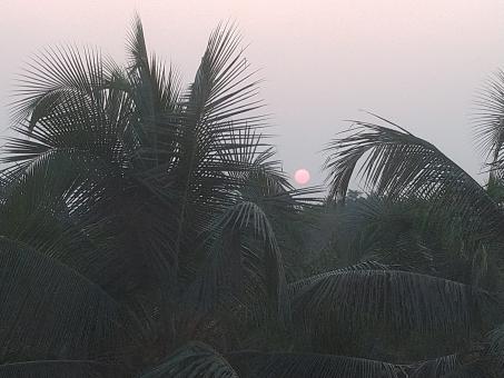 Free Stock Photo of Sunset