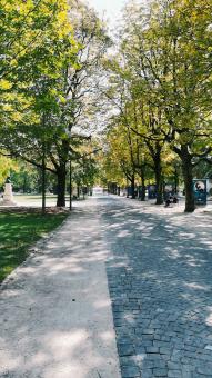 Free Stock Photo of At a park in Geneva 