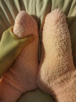 Free Stock Photo of Pink winter socks