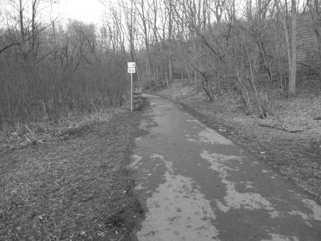 Free Stock Photo of the bike trail
