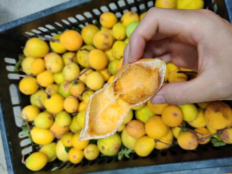 Free Stock Photo of Lemons