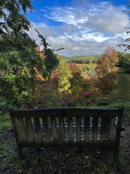 Free Stock Photo of Nature View 