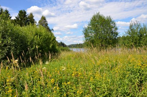 Free Stock Photo of A landscape in the neighbourhood of Gulli