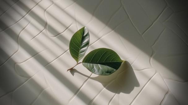 Free Stock Photo of Play of Light and Shadows
