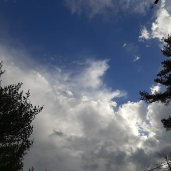 Free Stock Photo of Blue skies