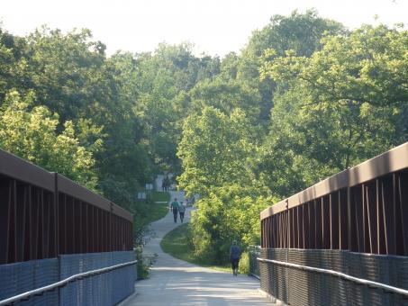 Free Stock Photo of Summer Trailwalk Bridge 