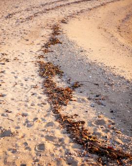 Free Stock Photo of Beach sand