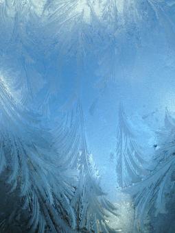 Free Stock Photo of Icy glass