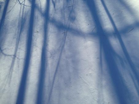 Free Stock Photo of Shadows in the snow
