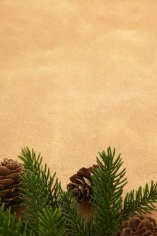 Free Stock Photo of Seasonal background