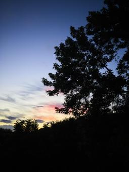 Free Stock Photo of Dark sunset