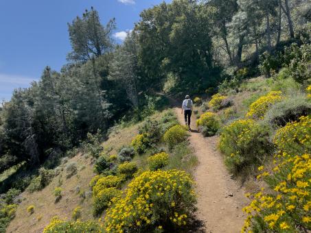 Free Stock Photo of Hiker