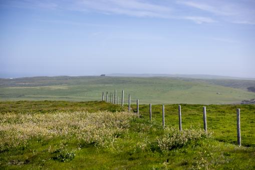 Free Stock Photo of Grassy field
