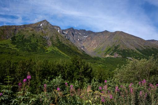 Free Stock Photo of Scenic mountain