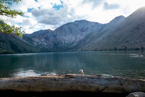 Free Stock Photo of Lake landscape
