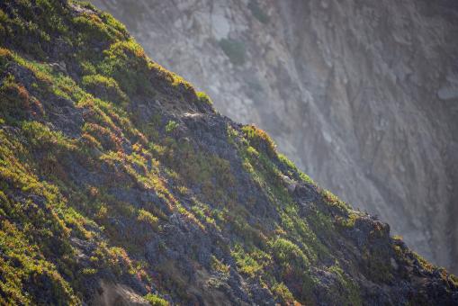 Free Stock Photo of Rocky mountain cliff