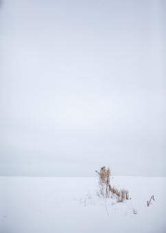 Free Stock Photo of Winter scene