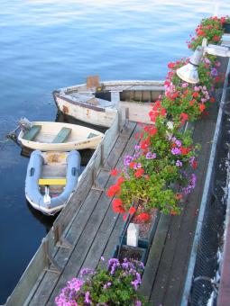 Free Stock Photo of Row boats