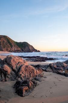 Free Stock Photo of California coast