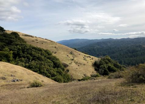 Free Stock Photo of California hills landscape