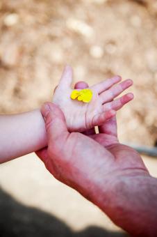 Free Stock Photo of Baby hand