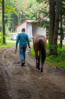 Free Stock Photo of Man walking horse