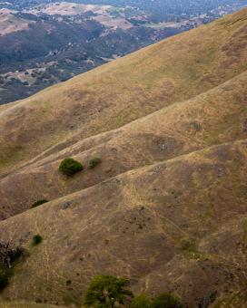 Free Stock Photo of California valley