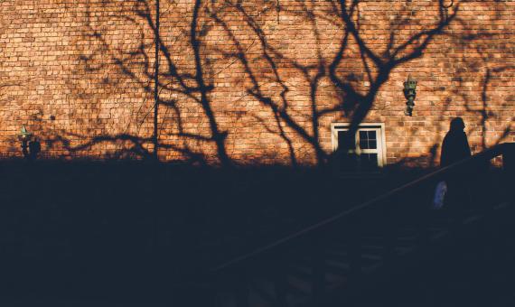 Free Stock Photo of Brick wall shadow