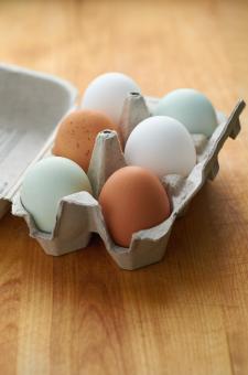 Free Stock Photo of Fresh eggs