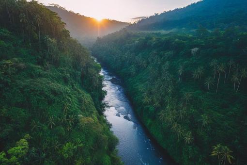 Free Stock Photo of Golden River Landscape