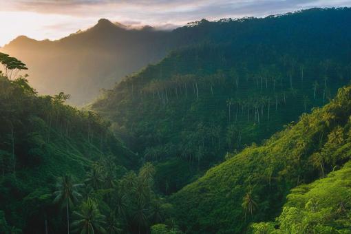 Free Stock Photo of Morning mountain