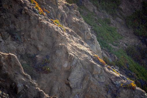Free Stock Photo of Stone cliff