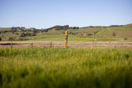 Free Stock Photo of Farmland Field