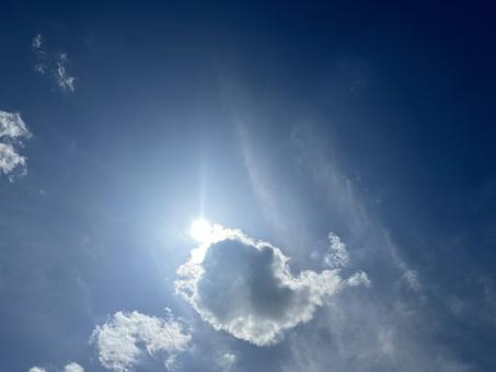Free Stock Photo of Eclipse Day