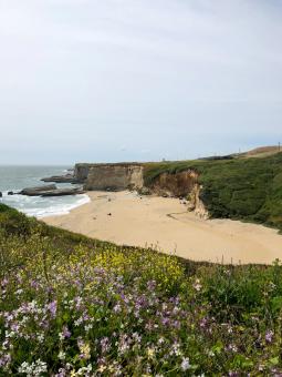 Free Stock Photo of California beach