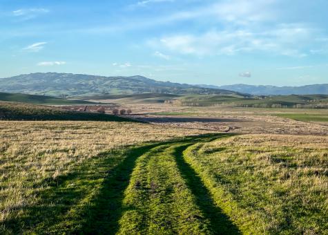 Free Stock Photo of Rural road