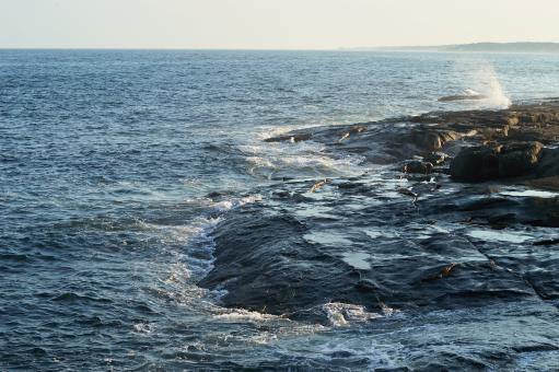 Free Stock Photo of Wave crashing rocks