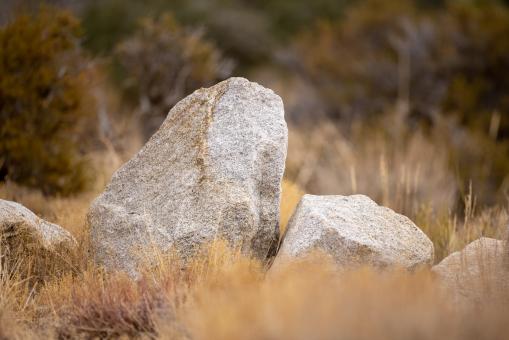 Free Stock Photo of Rocks in a field