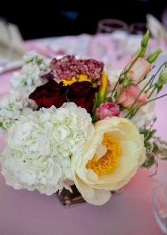 Free Stock Photo of Flower bouquet