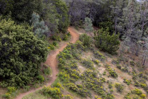 Free Stock Photo of Hiking path